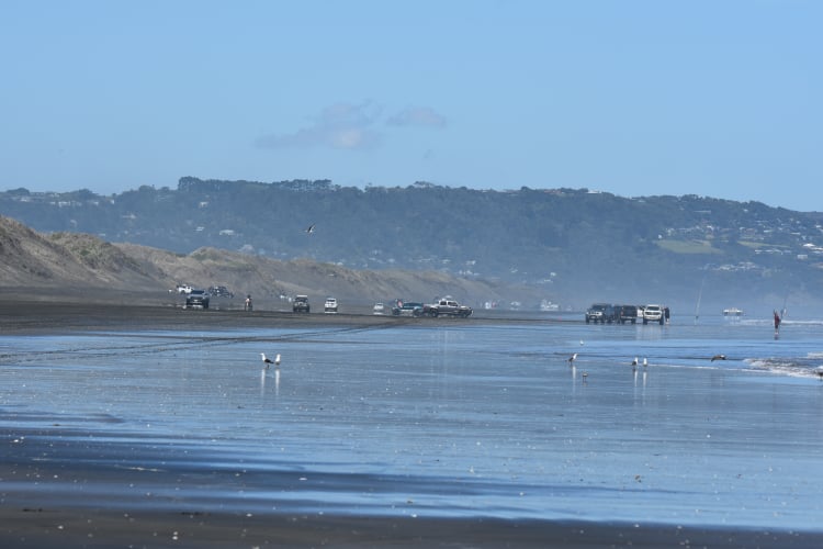 Fee for Driving on Muriwai Beach