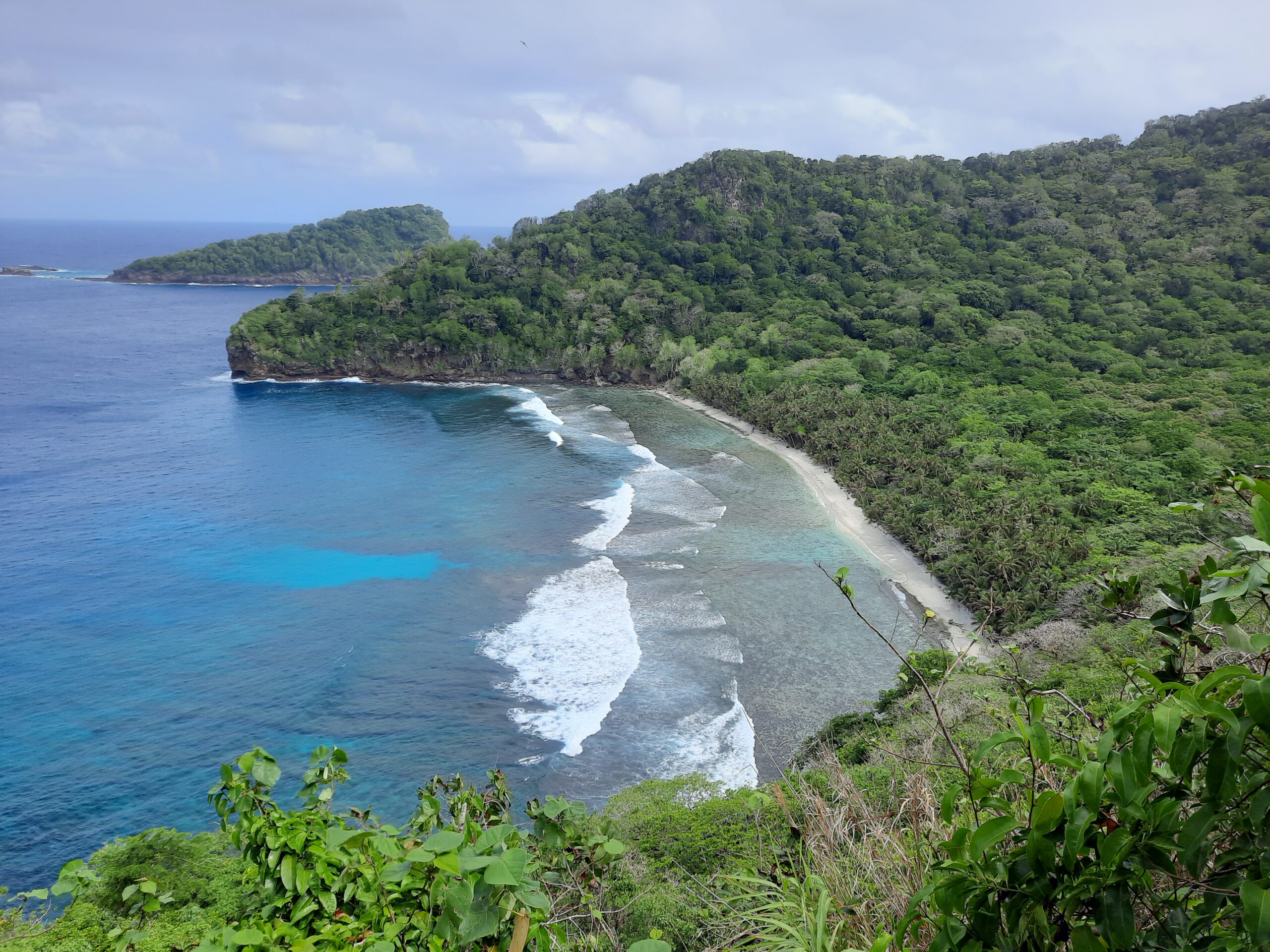 First dedicated Seabird Surveys for Samoa