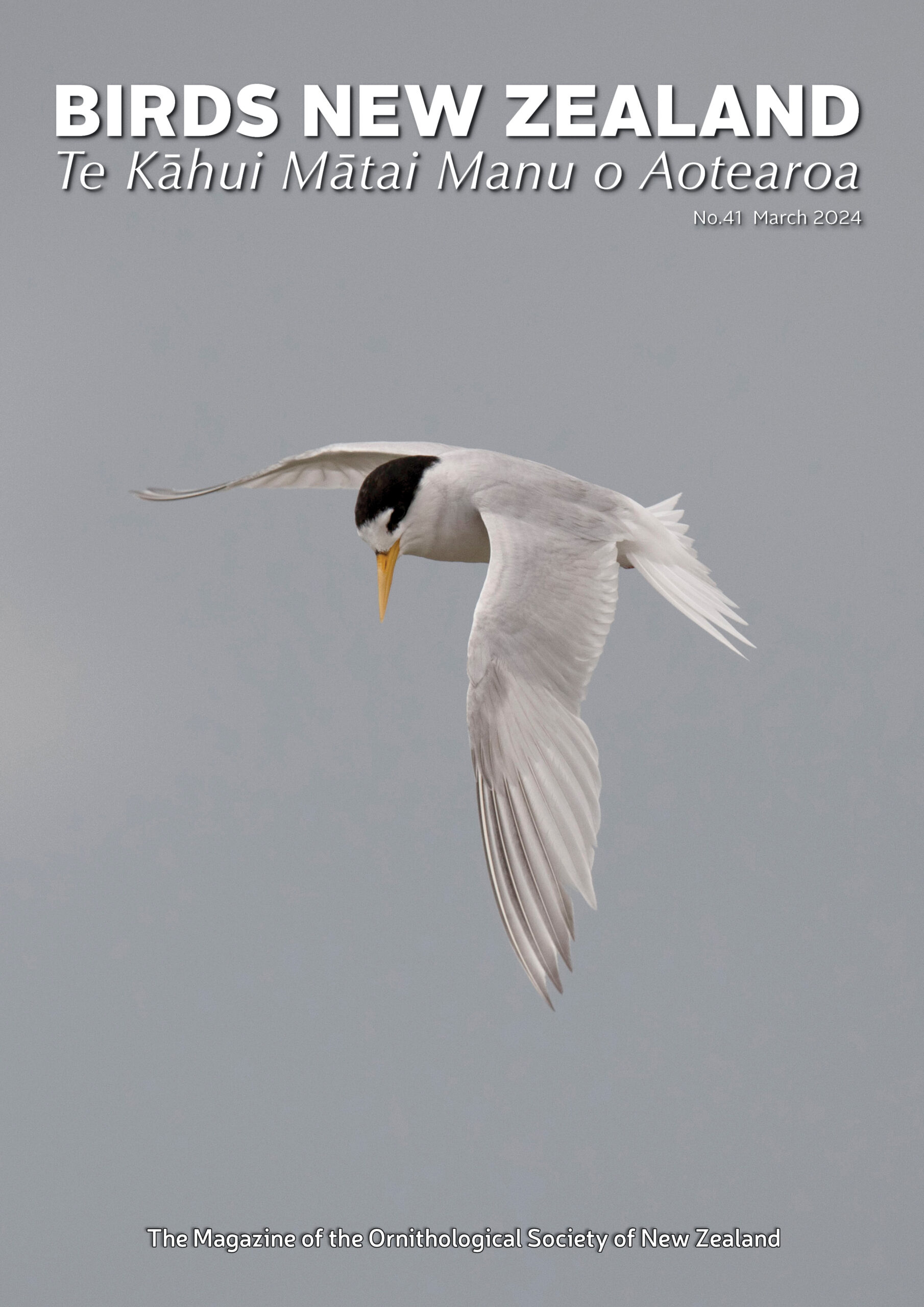 March Birds New Zealand magazine published